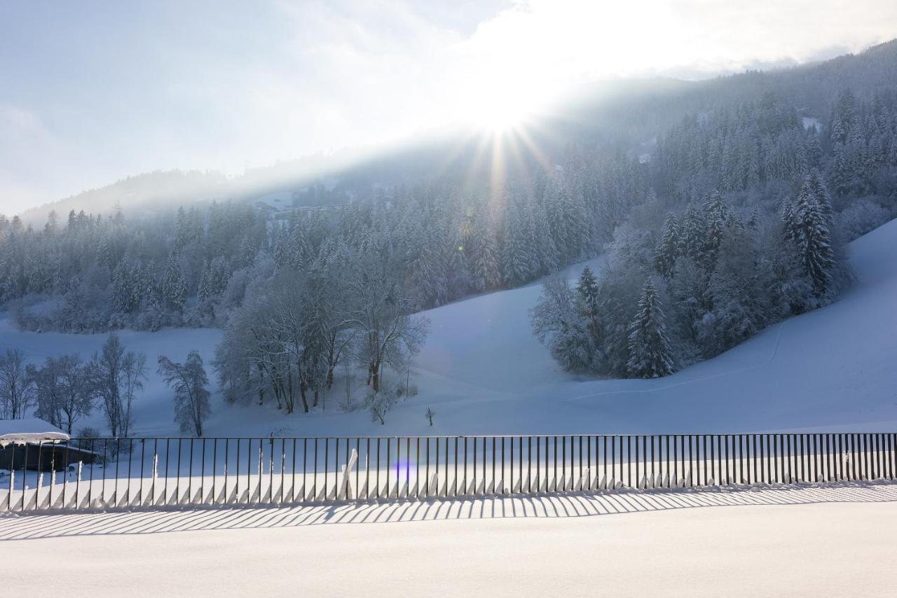 Chalet Isabella Kaltenbach Kültér fotó